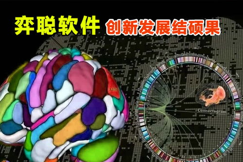 弈聰軟件 科研創新結碩果，信息安全軟件開發再添新動能