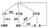 生態(tài)工程加環(huán)設(shè)計(jì) 以玉米芯生產(chǎn)木糖醇為例的效率與價值分析