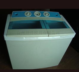 模具廠供應(yīng)洗衣機(jī)模具及小家電模具 專業(yè)鑄就品質(zhì)，精準(zhǔn)控制成本